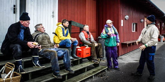 Sejlklubben Greve Strand - 2012 - Bøjeholdet i aktion